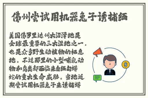 阿姨呀啊咿呀bgm